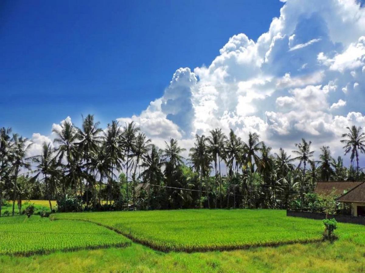 Pondok Ayu Soca Ubud Eksteriør billede